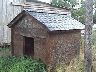 28585_doghouse.jpg