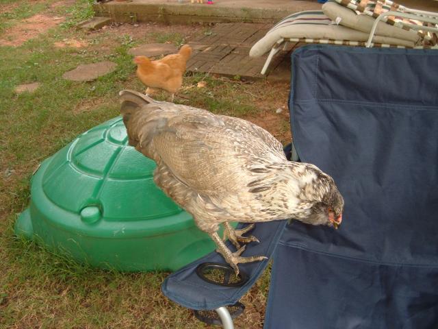 28677_011.jpg