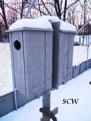 28709_wood_duck_nest_box.jpg