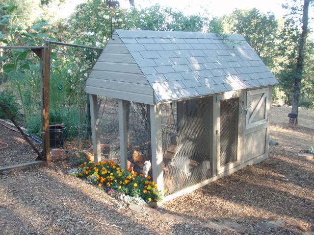 28729_andreas_chicken_coop.jpg