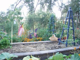 28729_collins_garden_3.jpg