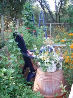 28729_garden_1.jpg