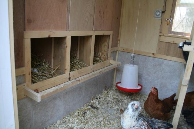 28784_inside_nest_boxes_012.jpg