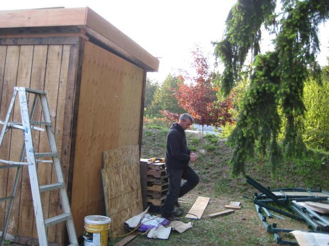28795_chickens_007.jpg
