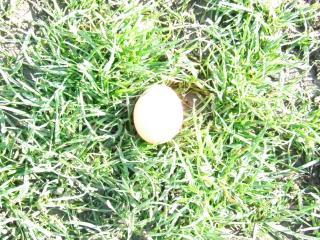 28820_dscf3083.jpg