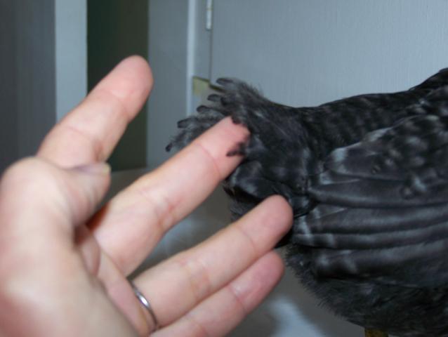 29110_100_1542.jpg
