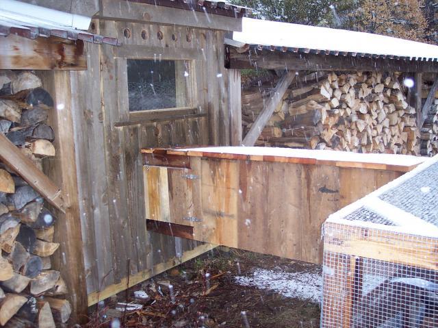 29122_100_4449.jpg