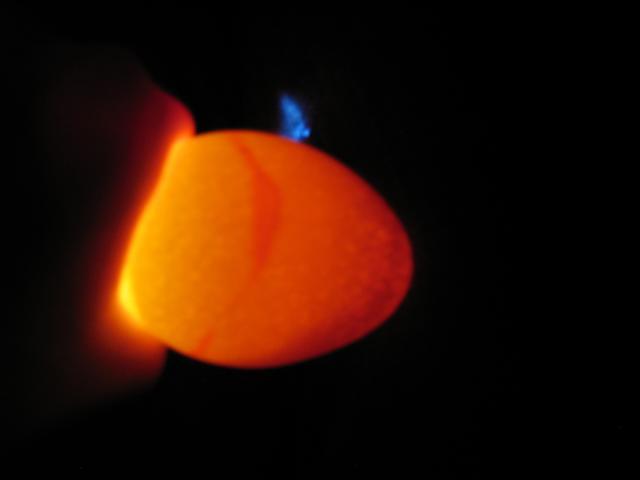 29266_blood_ring_pea.jpg