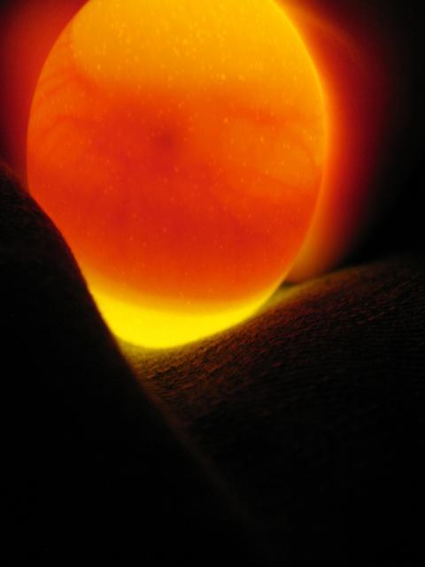 29266_good_pic_2.jpg
