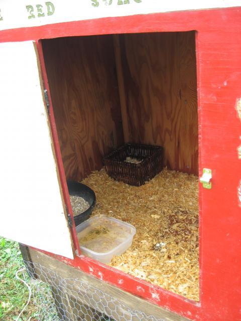 29303_new_coop_017.jpg