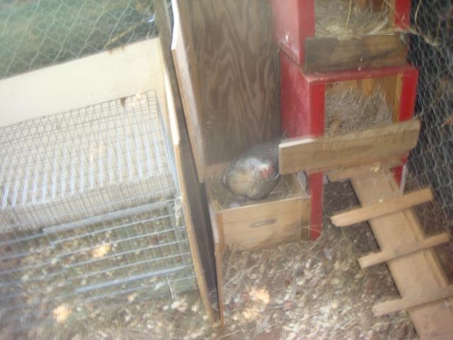 29308_210.jpg