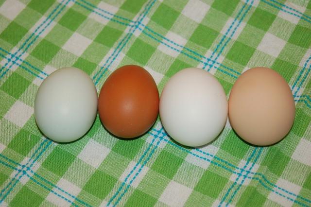 29314_eggs.jpg