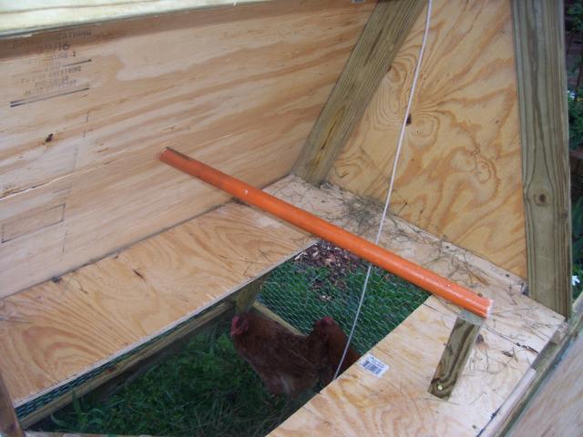 29322_100_2224.jpg