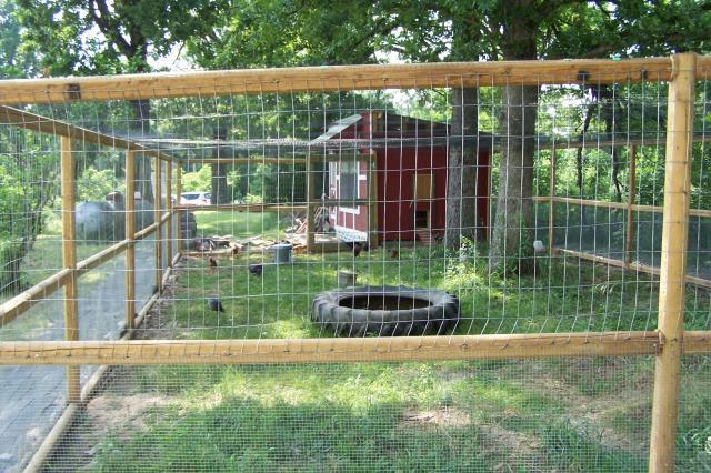 Jjamerbs Pallet Palace Chicken Coop | BackYard Chickens