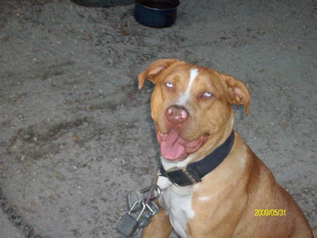 29366_imported_photos_00125.jpg