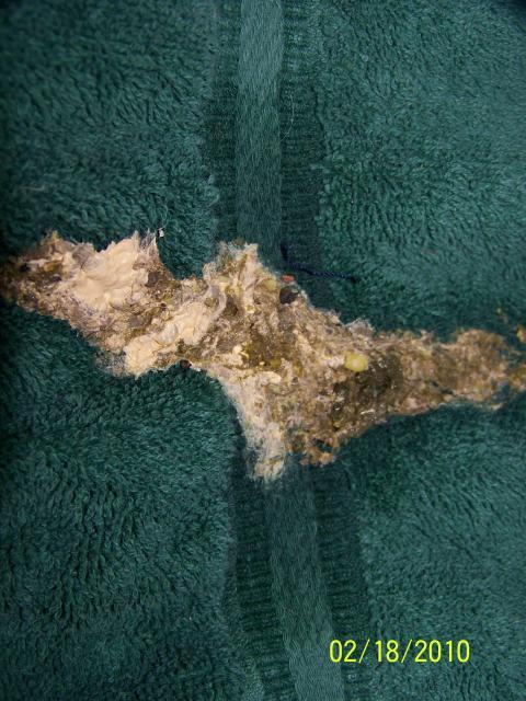 29382_100_5473.jpg