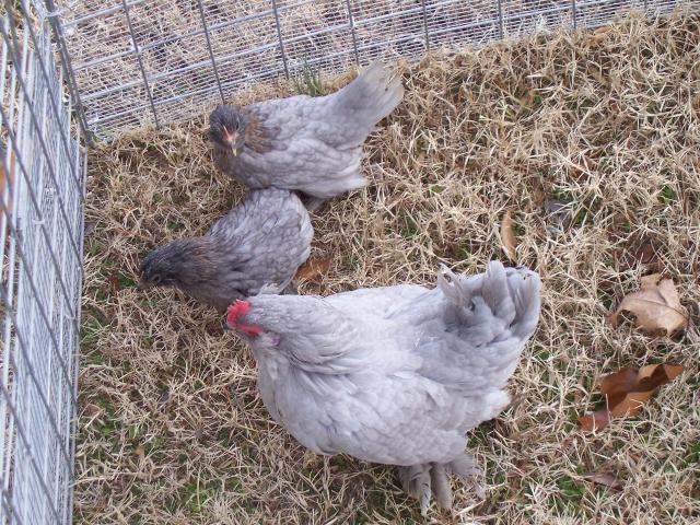 2952_100_8284.jpg