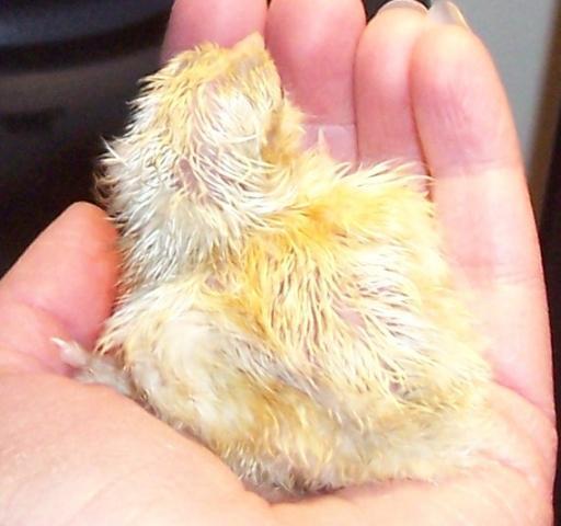 2952_100_8482.jpg