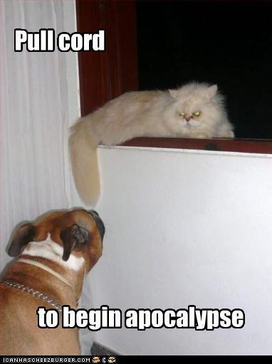 2952_funny-pictures-pull-cord.jpg