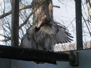 2952_img_0992.jpg