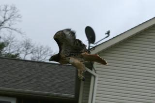 2952_img_2859.jpg