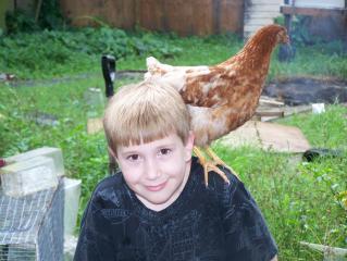 29682_morepetpictures_009.jpg