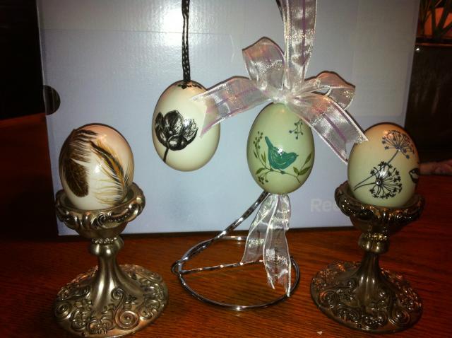 29696_eggs1.jpg
