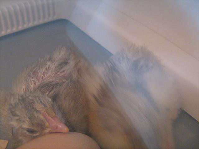 29775_picture_010.jpg