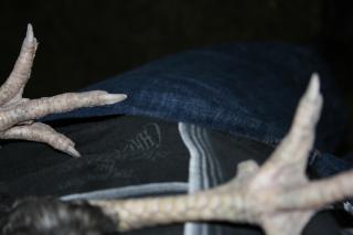 29801_img_8307.jpg