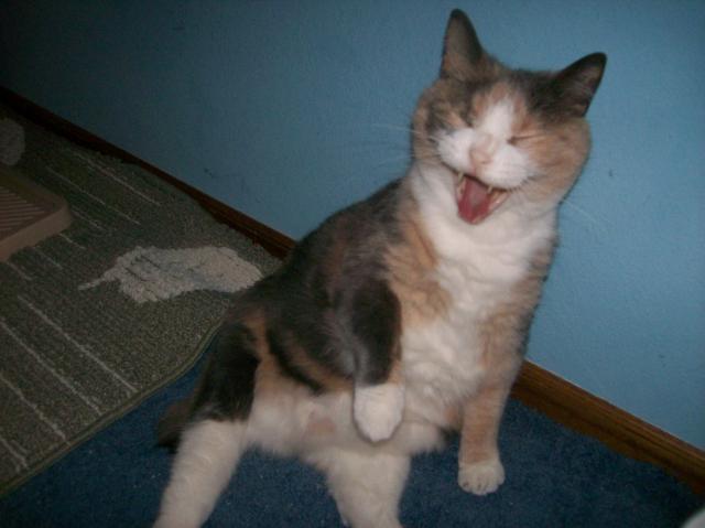 29831_100_0166.jpg