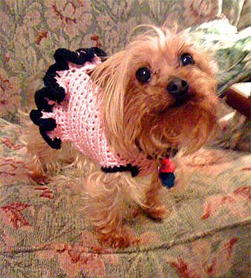 29881_pinkblack_chacha.jpg