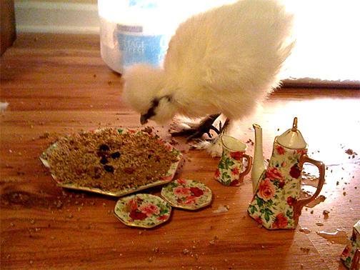 29881_raisin_crumble_cake.jpg