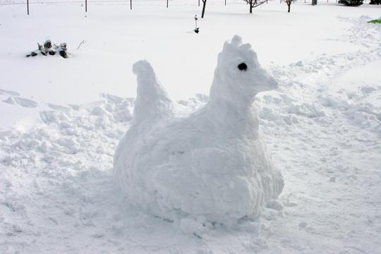 29881_snow_chicken.jpg