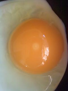 29972_fertile_egg.jpg