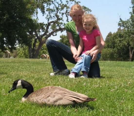 2_alana-emily-goose.jpg