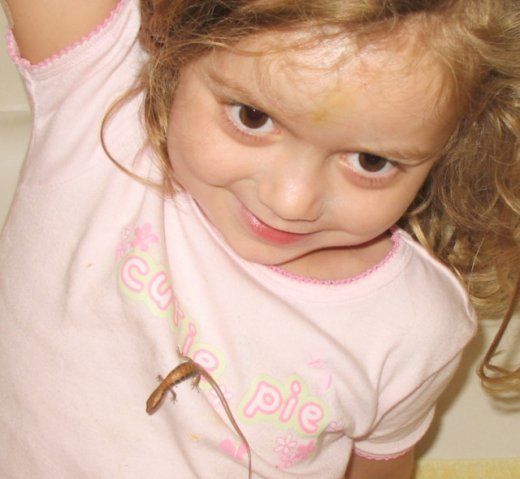 2_alana-lizard.jpg