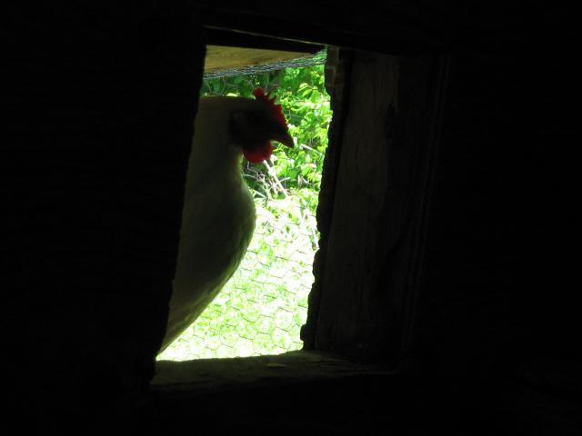 30030_spot.jpg