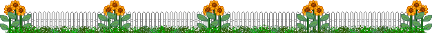 30088_sunflowerfenceline.gif