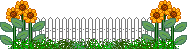 30088_sunflowerfencelineshrtr.gif