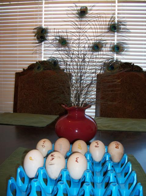 30095_ds_eggs_003.jpg