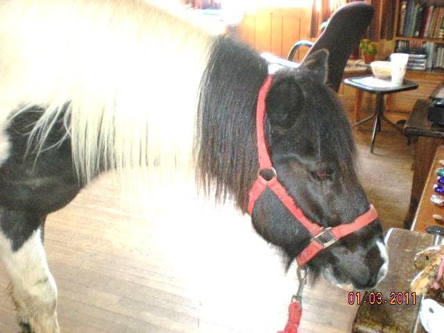 3009_dscn4895.jpg
