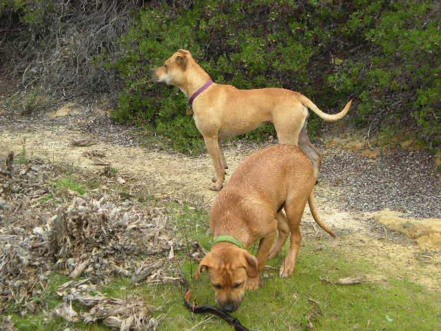 3009_hiking_at_manzanita_2-28-09_20.jpg