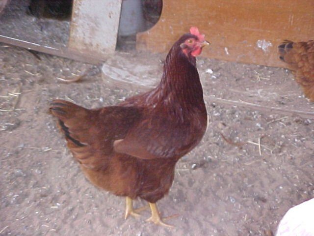 3009_mvc-449f.jpg