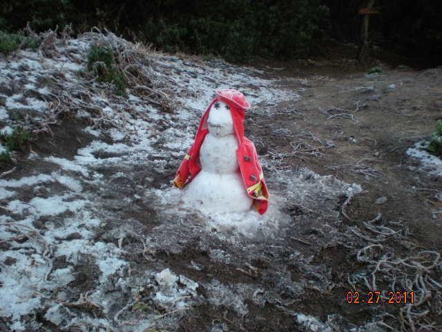 3009_snowman.jpg