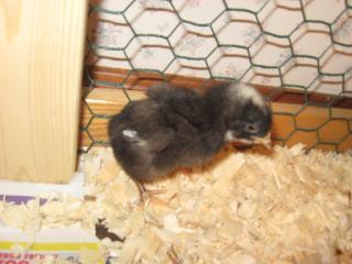 30173_img_2107.jpg