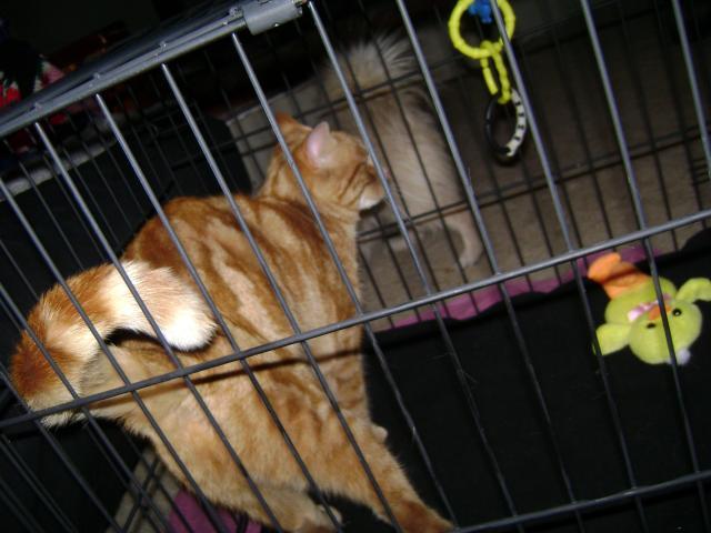 30246_dsc03429.jpg
