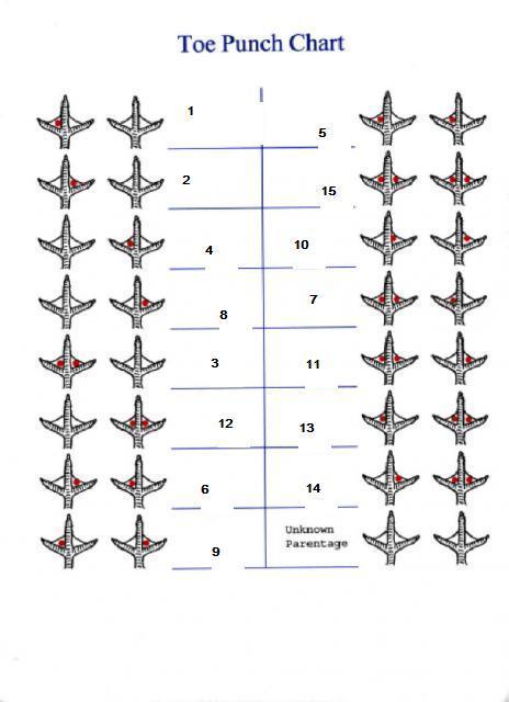 30249_56168_toe_punch_chart.jpg