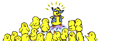 30285_chictopcp.gif