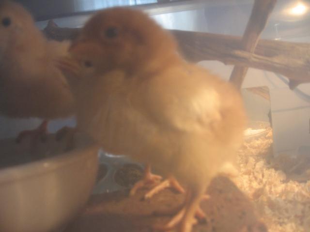 30306_img_2974.jpg