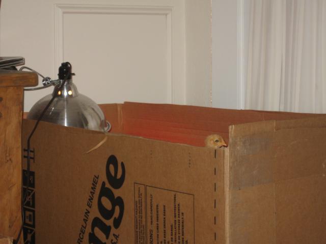 30340_img_2602.jpg